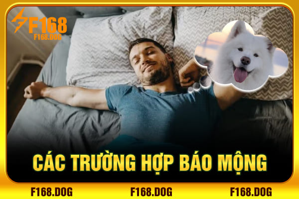 Các trường hợp báo mộng Các trường hợp báo mộng