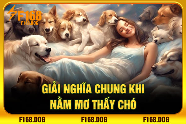 Giải nghĩa chung khi nằm mơ thấy chó  Giải nghĩa chung khi nằm mơ thấy chó