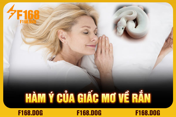 Hàm ý của giấc mơ về rắn Hàm ý của giấc mơ về rắn