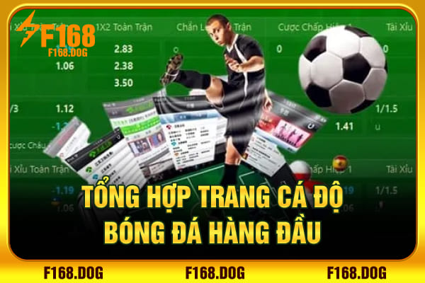 Tổng hợp trang cá độ bóng đá hàng đầu Tổng hợp trang cá độ bóng đá hàng đầu
